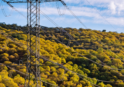 Industry News Odisha Clean Energy